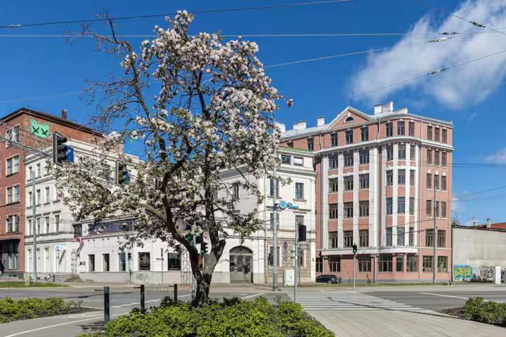 Appartement Ground-floor In Old Town *